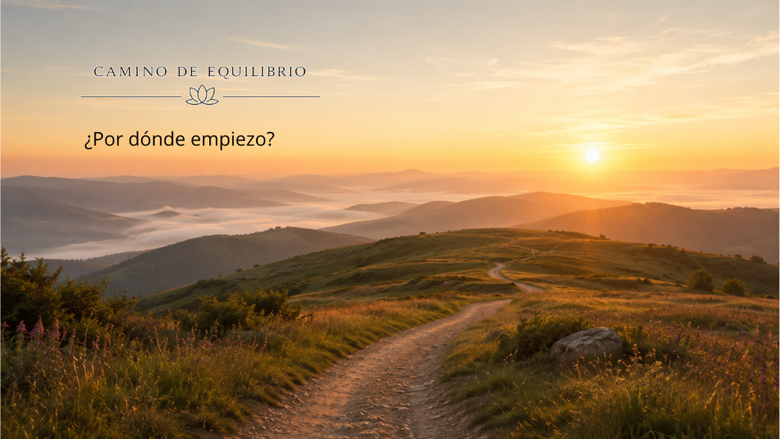 ¿Por dónde empiezo para comprender y transformar mi vida?