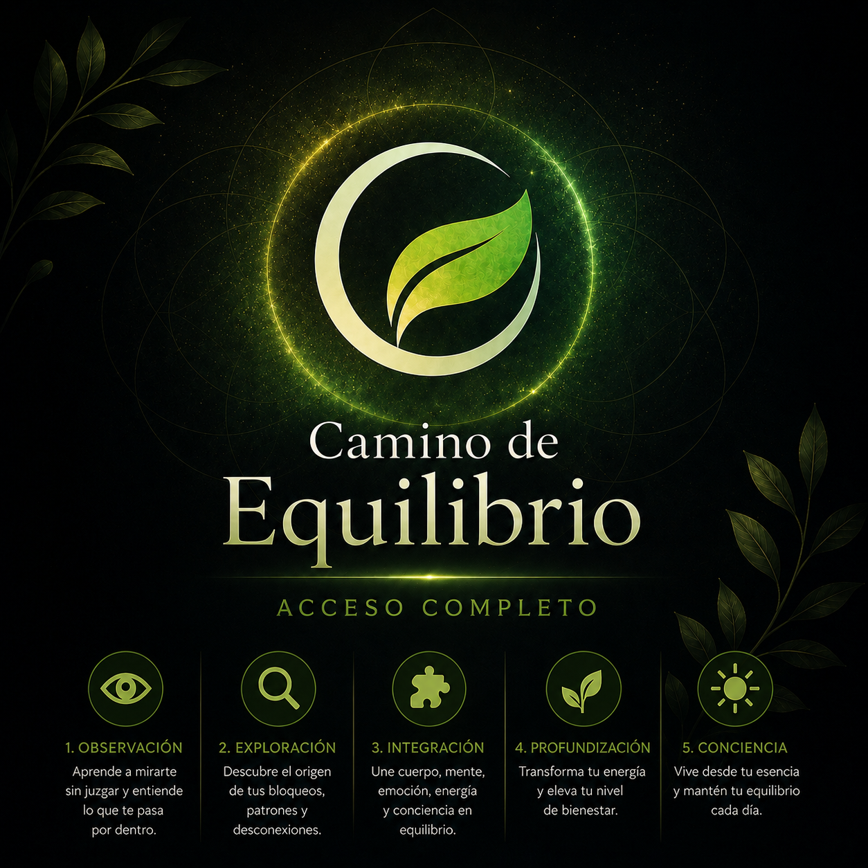 Camino de Equilibrio — Acceso completo